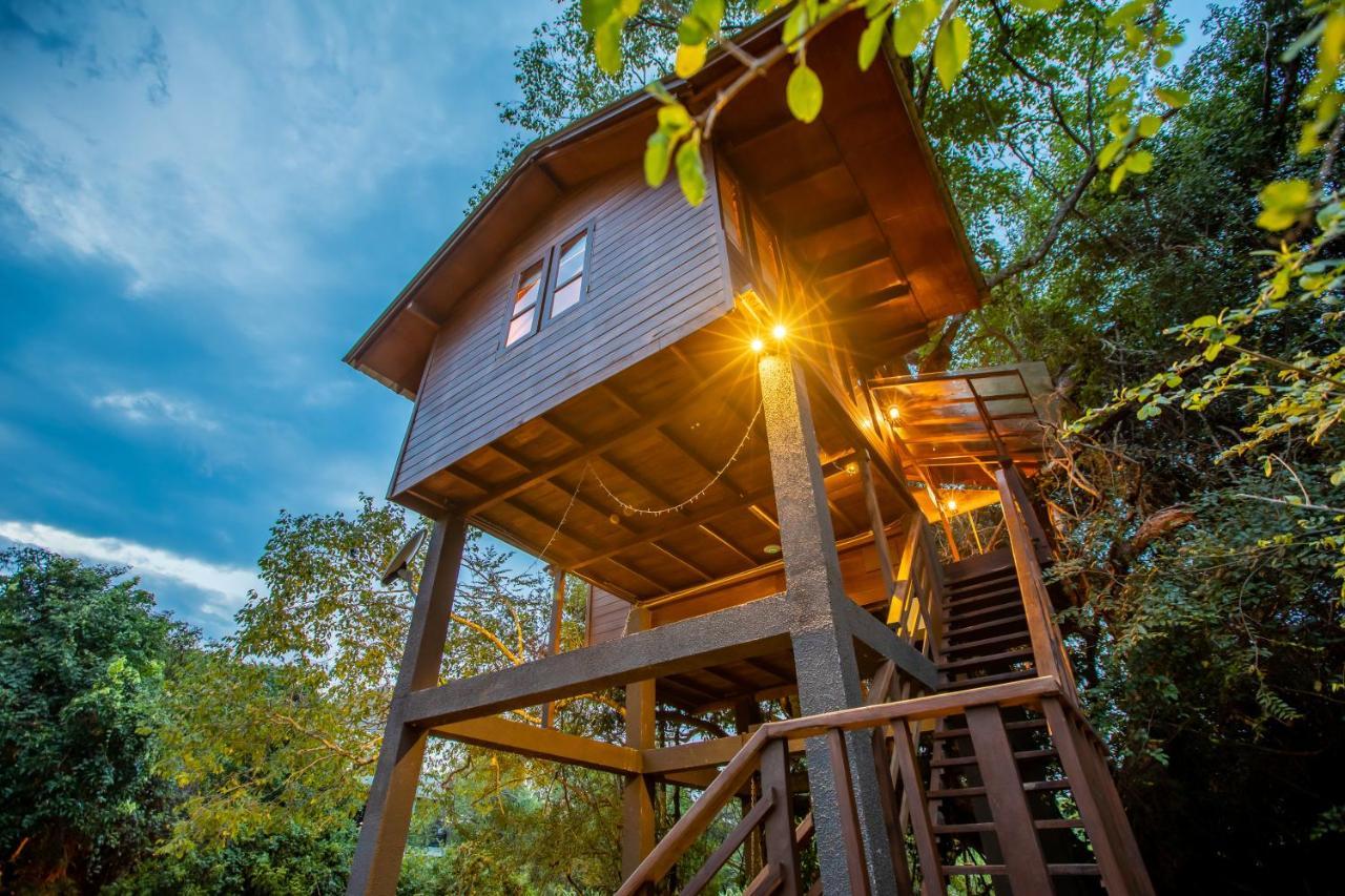 Sigiriya King'S Resort Eksteriør bilde