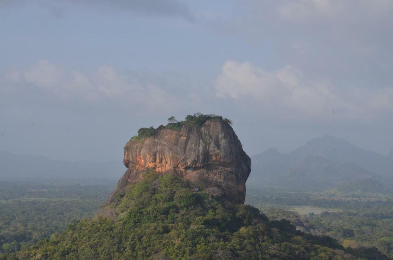 Sigiriya King'S Resort Eksteriør bilde