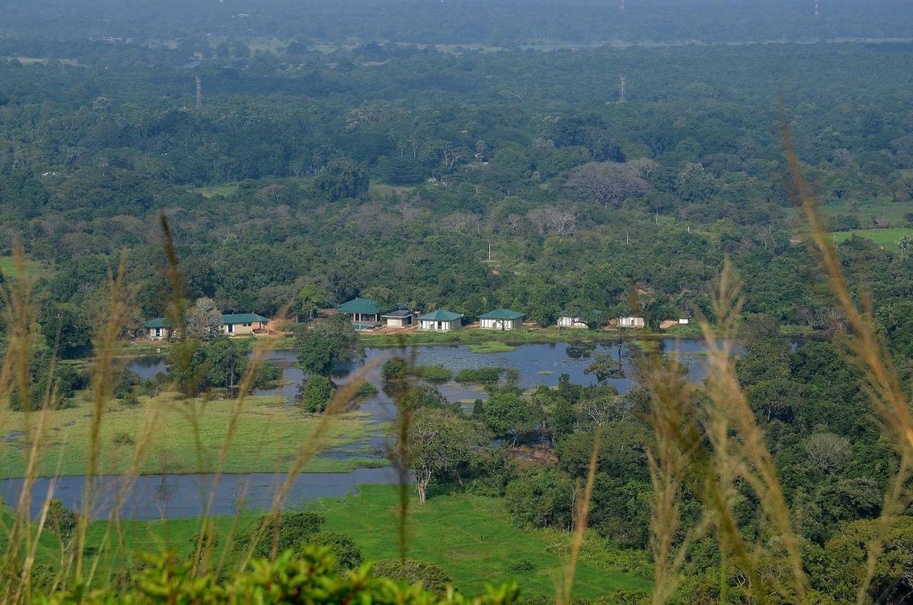 Sigiriya King'S Resort Eksteriør bilde