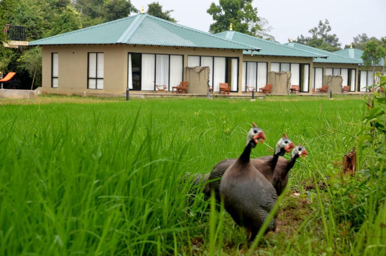 Sigiriya King'S Resort Eksteriør bilde